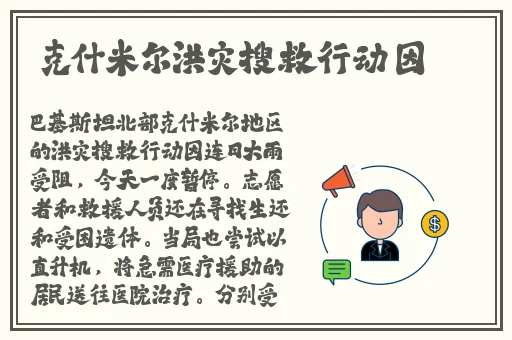 打扑克摇床